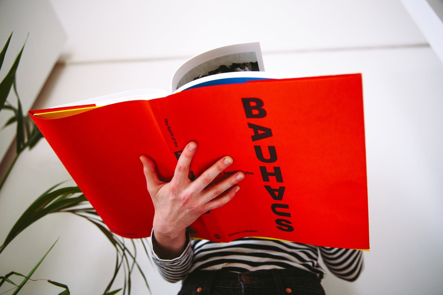 person holding book