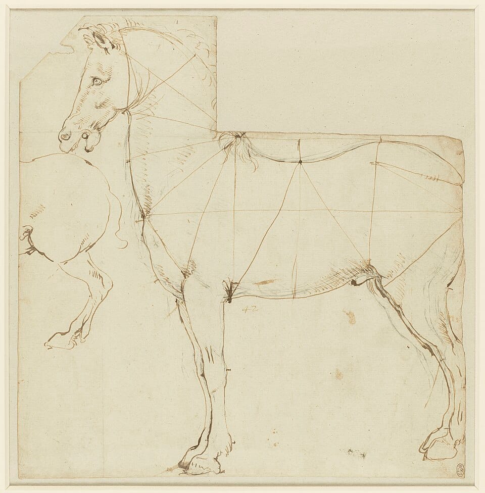Leonardo da Vinci horse study with lines of proportion Windsor Collection Royal Collection Trust circa 1480