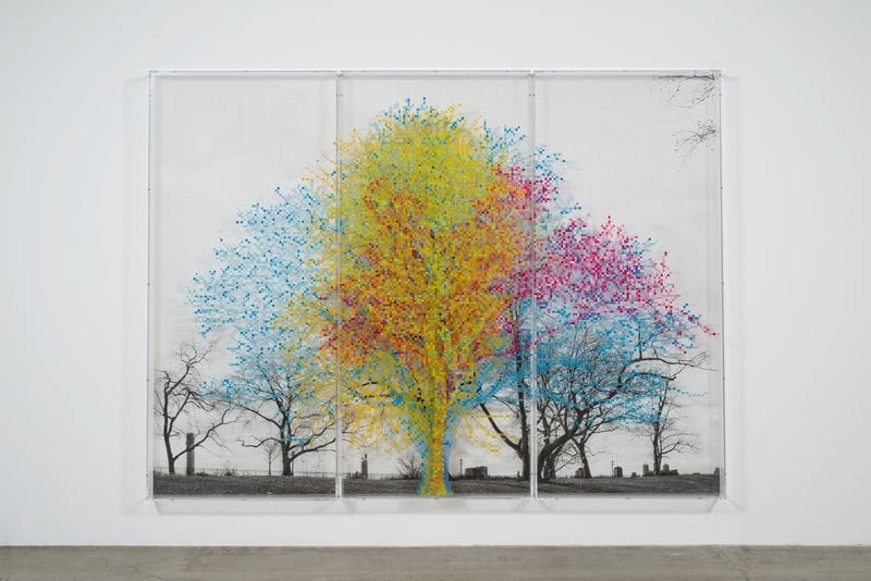 Charles Gaines, Walnut Tree Orchard