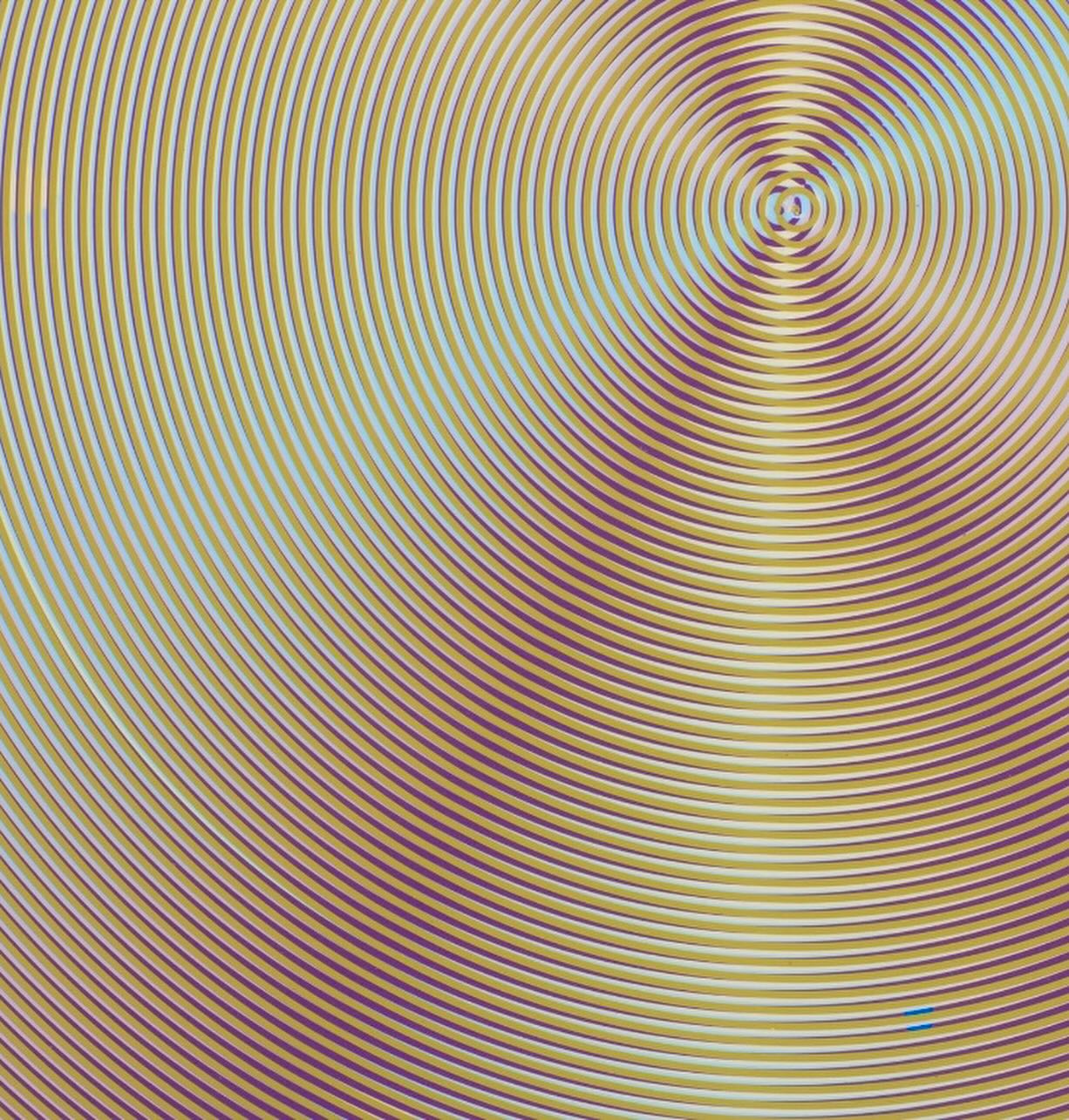 Anoka Faruqee Circle Paintings
