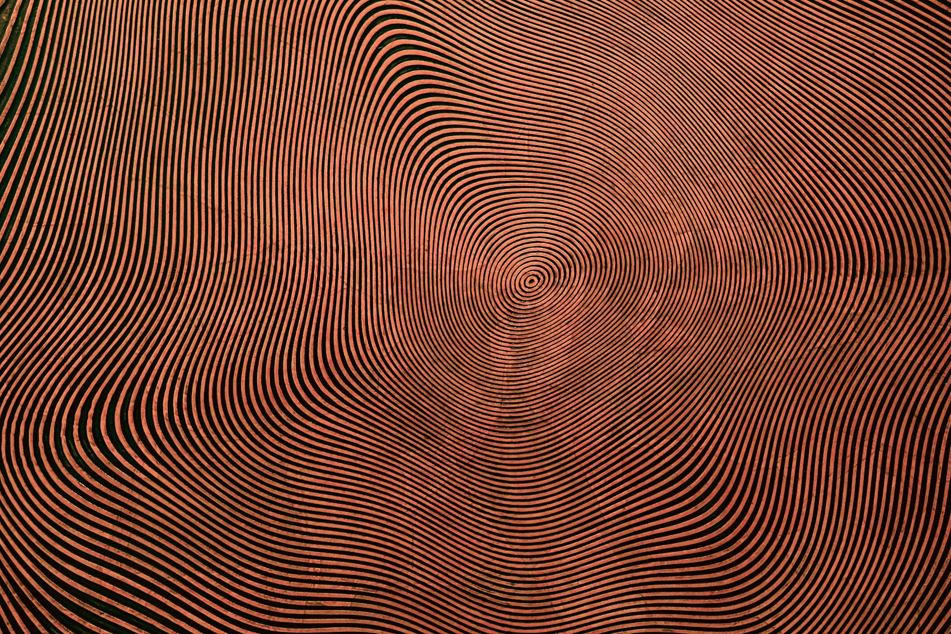 Anoka Faruqee moire painting, abstract op art canvas