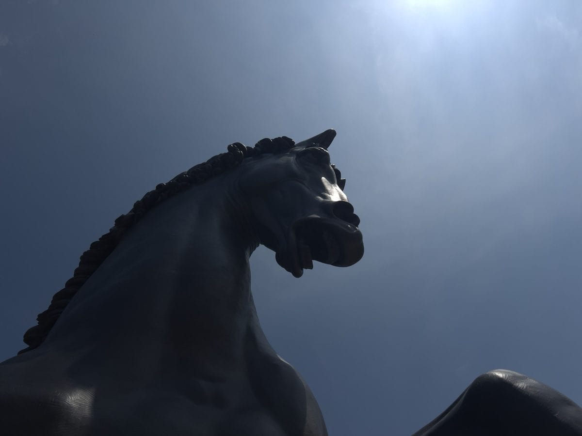 Head and arched neck of The American Horse bronze silhouetted against the sky at Meijer Gardens, Grand Rapids