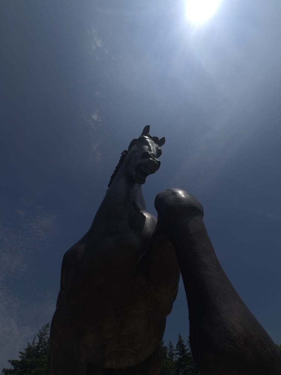The head of The American Horse, twin cast of the Leonardo da Vinci Il Cavallo, against a streaked sky at Meijer Gardens, Grand Rapids