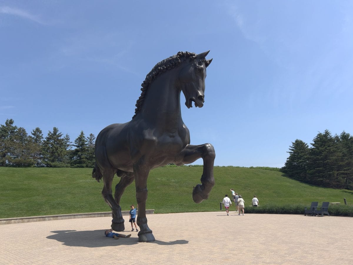 The American Horse, the 24-foot bronze cast of Leonardo da Vinci Il Cavallo by Nina Akamu, seen from below against a blue sky at Frederik Meijer Gardens in Grand Rapids, Michigan